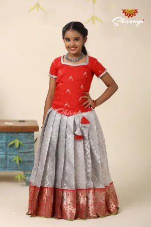 Festive Collection - Grey Kota Bird Pattu Pavadai For Kids  !!!