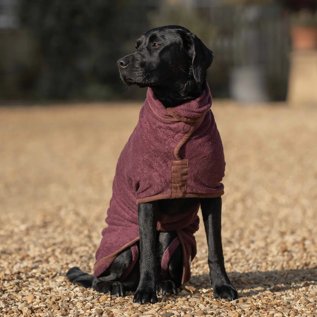 NEW Country Dog Drying Coat - Burgundy