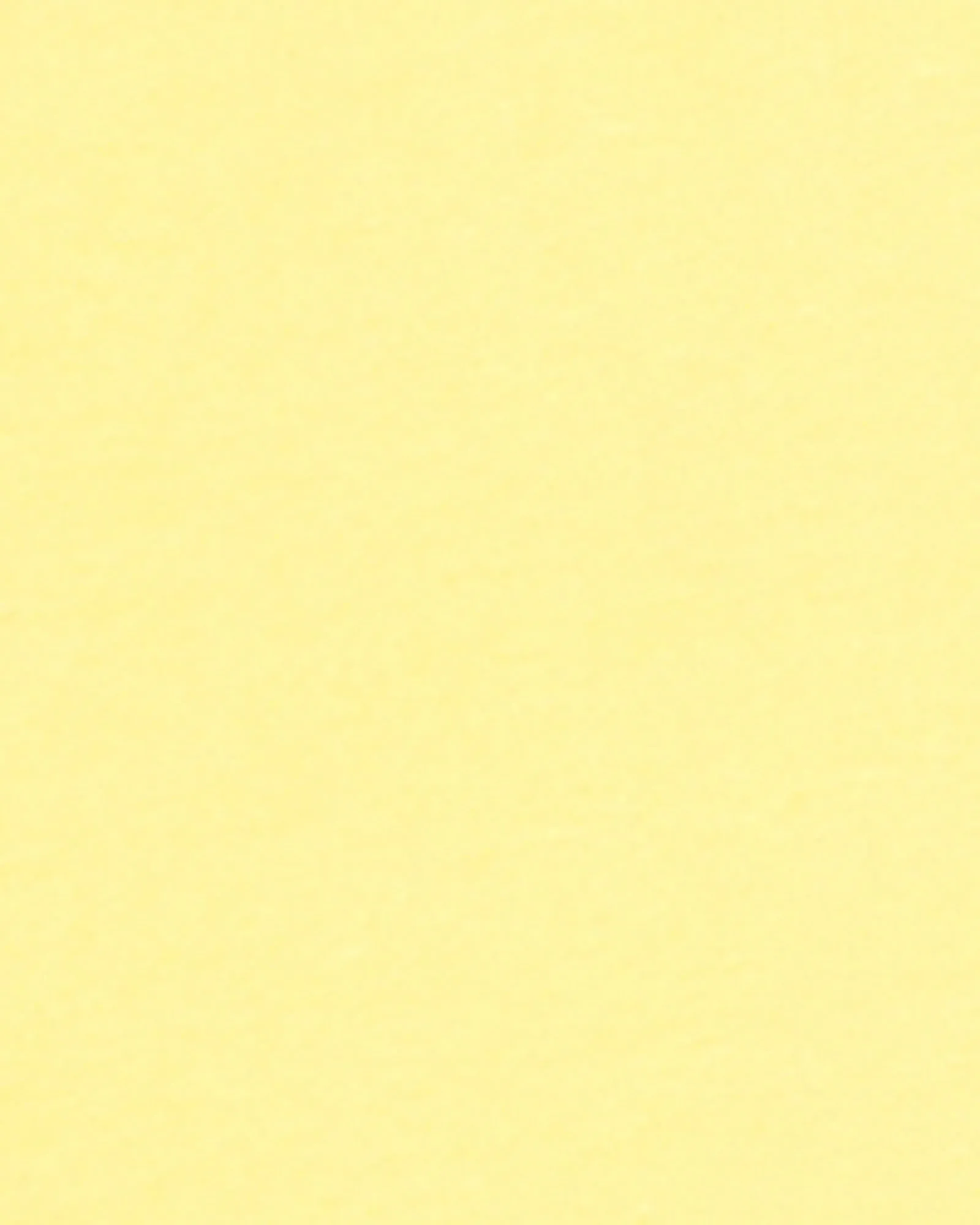 Plus Size Aria Pleated Top | Light Yellow
